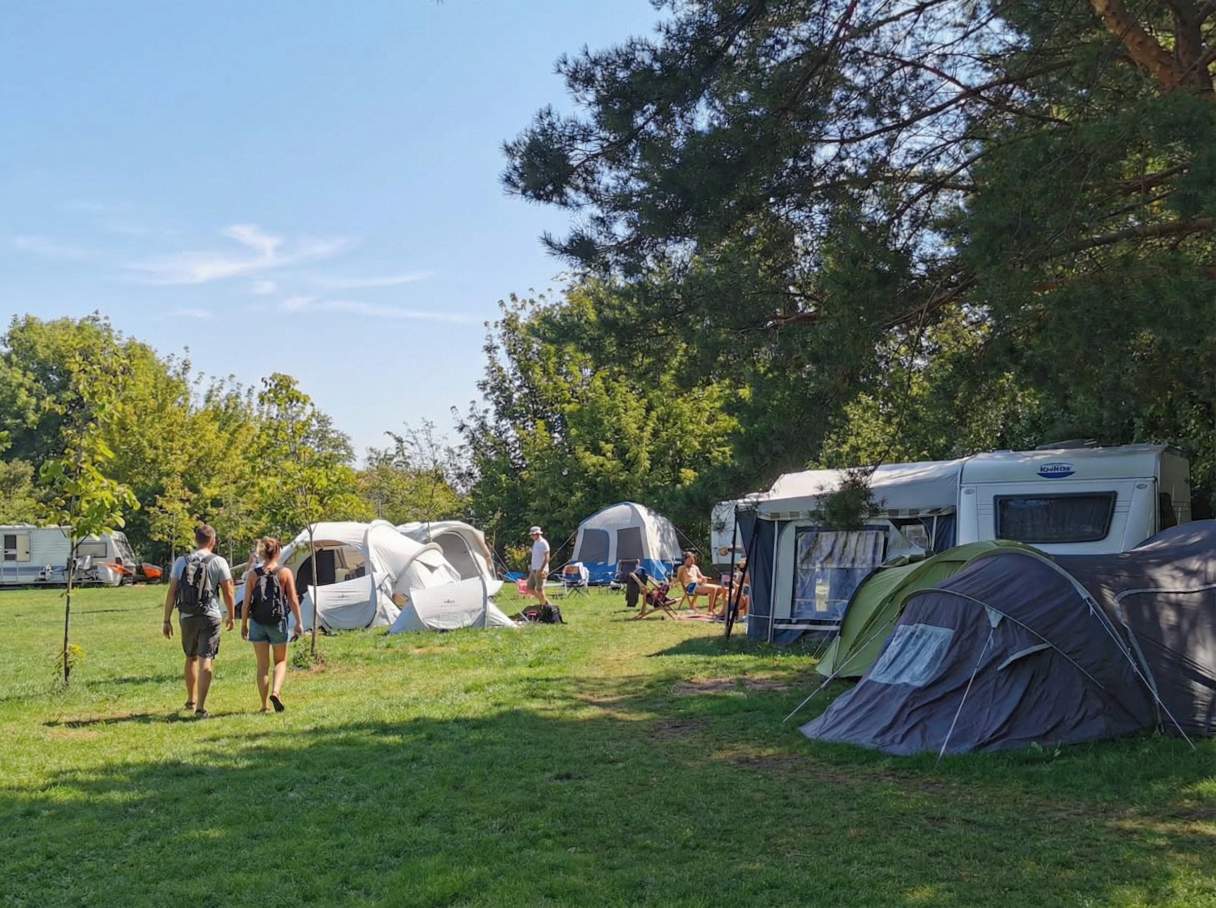 Central Wake Park - pole namiotowe